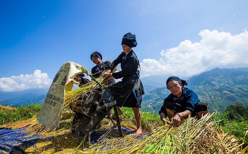 Hiking Through Hoang Su Phi's Most Breathtaking Rice Terraces 8 Days